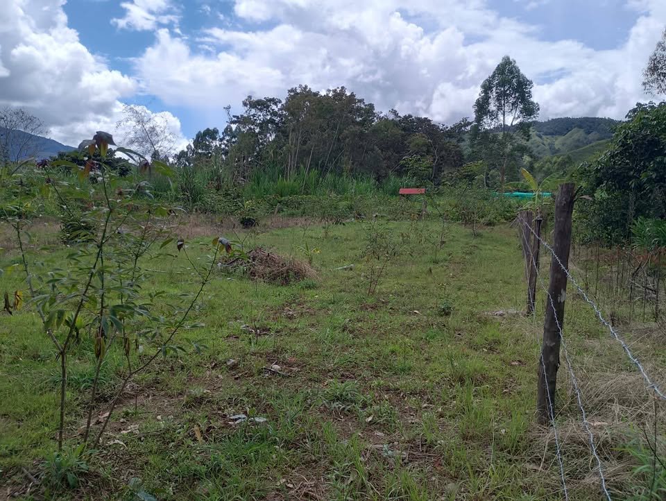 Lote en Oxapampa, Pasco — foto 2