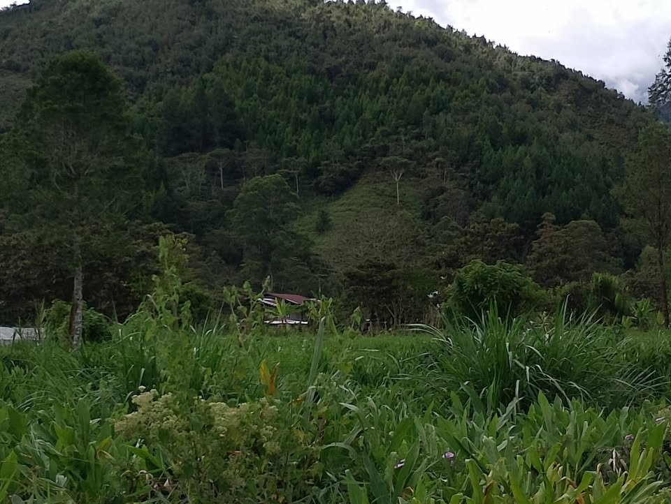 Lote en Oxapampa, Pasco — foto 4