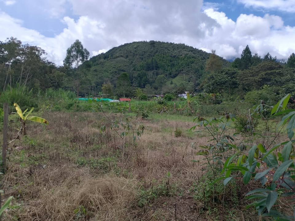 Lote en Oxapampa, Pasco — foto 5