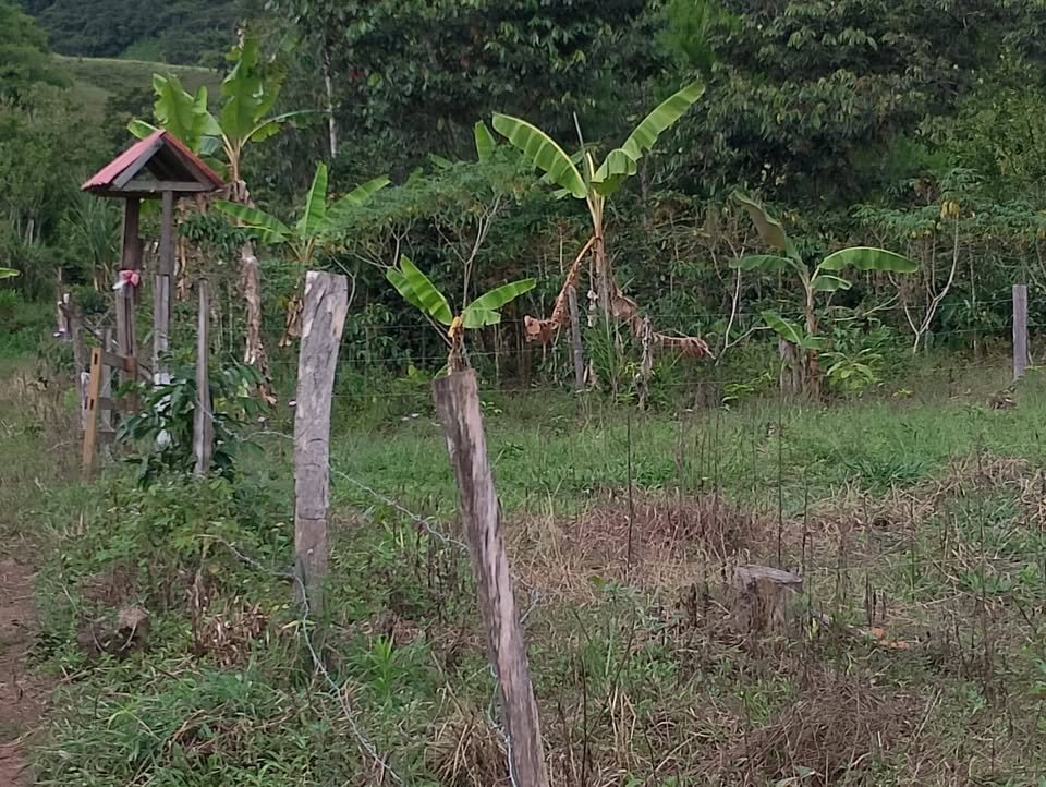 Lote en Oxapampa, Pasco — foto 6